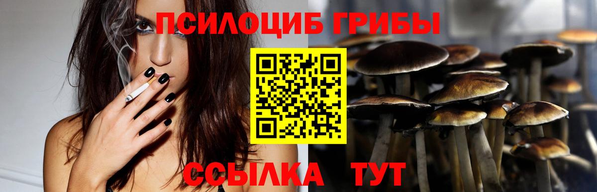 Галлюциногенные грибы мицелий  Вход с VPN  Коломна 